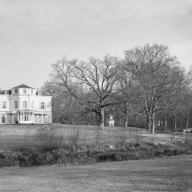 Rijksdienst voor het Cultureel Erfgoed: Schollen, A.H.C.