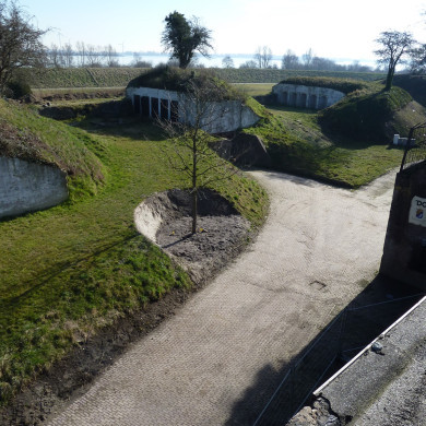 Rijksdienst voor het Cultureel Erfgoed: Bogers, Guido