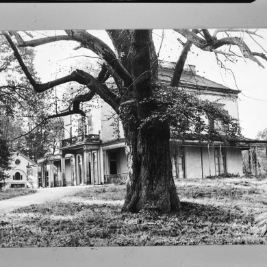 Rijksdienst voor het Cultureel Erfgoed