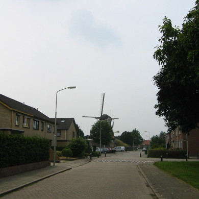 Rijksdienst voor het Cultureel Erfgoed: Terpstra, Frank