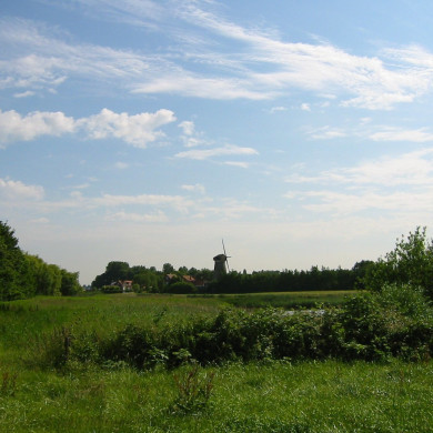 Rijksdienst voor het Cultureel Erfgoed: Terpstra, Frank