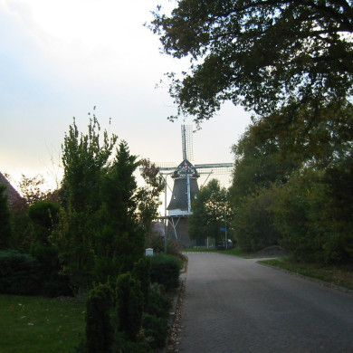 Rijksdienst voor het Cultureel Erfgoed: Terpstra, Frank
