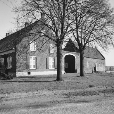 Rijksdienst voor het Cultureel Erfgoed: Tangel, L.M.