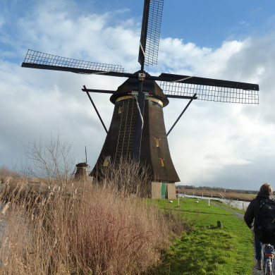 Rijksdienst voor het Cultureel Erfgoed: Bogers, Guido