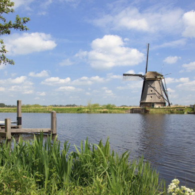 Rijksdienst voor het Cultureel Erfgoed: Jong, Nanette de