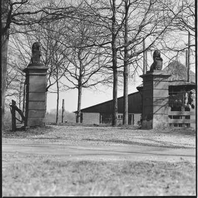 Rijksdienst voor het Cultureel Erfgoed: Wal, A.J. van der