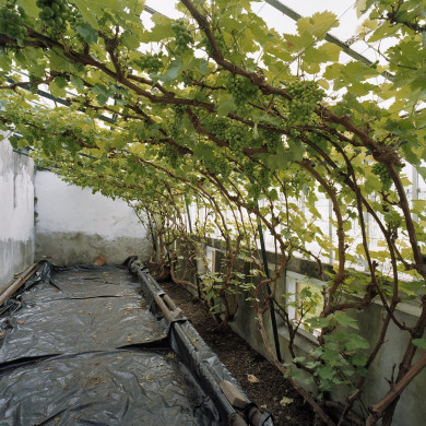 Rijksdienst voor het Cultureel Erfgoed: Heins, IJ.Th.