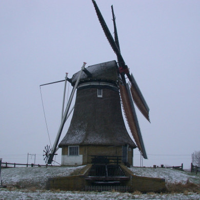 Rijksdienst voor het Cultureel Erfgoed: Terpstra, Frank