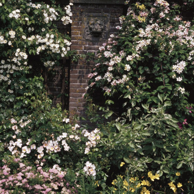 Rijksdienst voor het Cultureel Erfgoed: Heuff M. (Marijke)