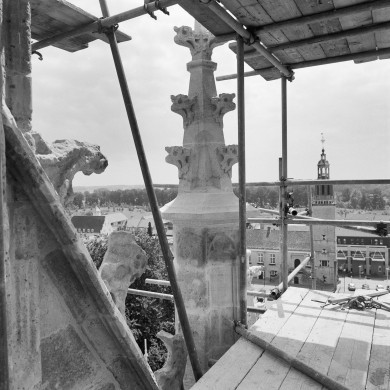 Rijksdienst voor het Cultureel Erfgoed: Tangel, L.M.