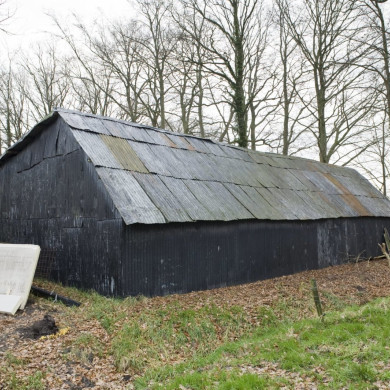 Rijksdienst voor het Cultureel Erfgoed: Booms, C.S. (Chris)
