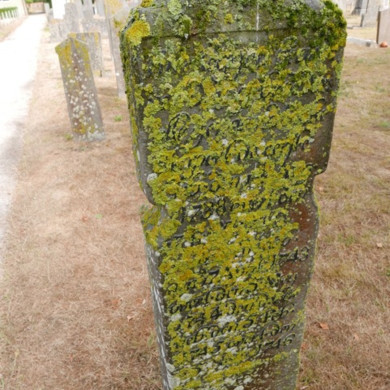 Rijksdienst voor het Cultureel Erfgoed: Dolfin, M. en Erkelens, M.
