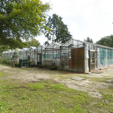 Rijksdienst voor het Cultureel Erfgoed: Galen, Jan van
