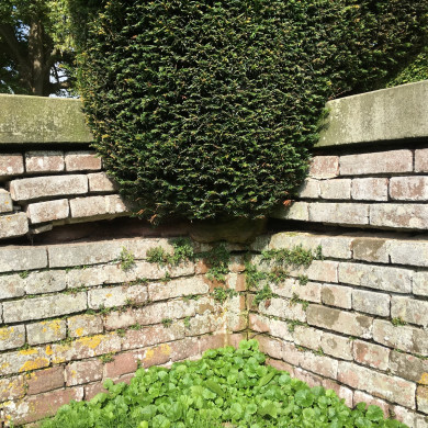 Rijksdienst voor het Cultureel Erfgoed: Wal, Henry van der