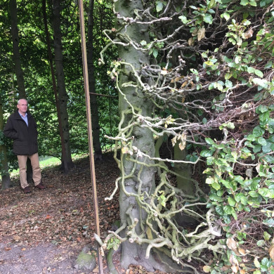 Rijksdienst voor het Cultureel Erfgoed: Wal, Henry van der