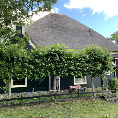 Rijksdienst voor het Cultureel Erfgoed: Bogers, Guido