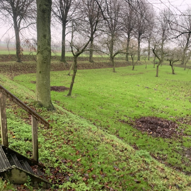 Rijksdienst voor het Cultureel Erfgoed: Bogers, Guido
