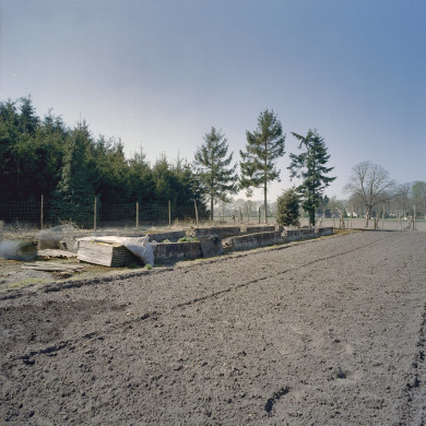 Rijksdienst voor het Cultureel Erfgoed: Heins, IJ.Th.