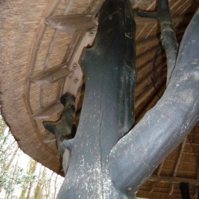 Rijksdienst voor het Cultureel Erfgoed: Bogers, Guido