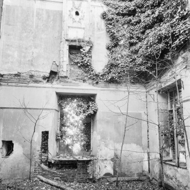 Rijksdienst voor het Cultureel Erfgoed: Delemarre, G.Th.