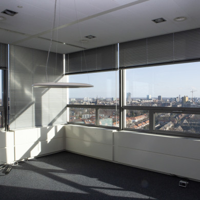 Rijksdienst voor het Cultureel Erfgoed: Steen, Monique van der