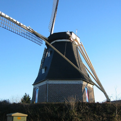 Rijksdienst voor het Cultureel Erfgoed: Terpstra, Frank