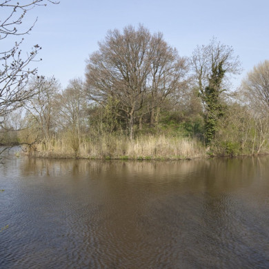 Rijksdienst voor het Cultureel Erfgoed: Booms, C.S. (Chris)-Galen, P. (Paul) van