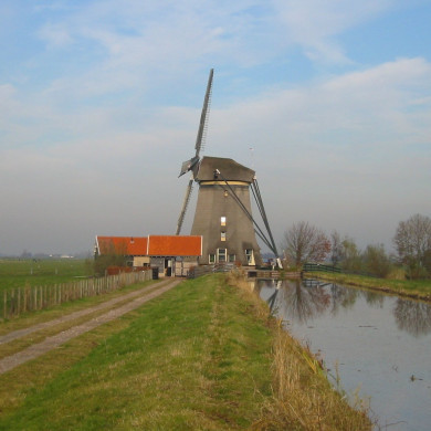 Rijksdienst voor het Cultureel Erfgoed: Terpstra, Frank