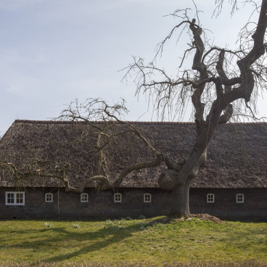 Rijksdienst voor het Cultureel Erfgoed: Sar, Wouter van der
