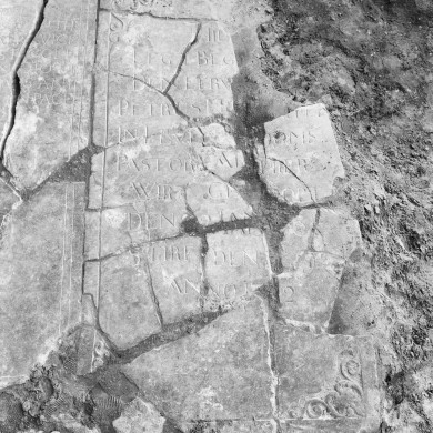 Rijksdienst voor het Cultureel Erfgoed: Delemarre, G.Th.