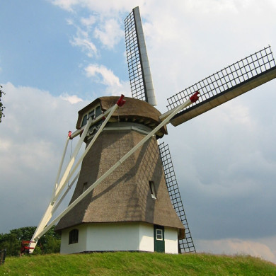 Rijksdienst voor het Cultureel Erfgoed: Terpstra, Frank
