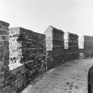 Rijksdienst voor het Cultureel Erfgoed: Delemarre, G.Th.