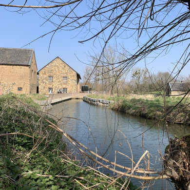 Rijksdienst voor het Cultureel Erfgoed: Bogers, Guido