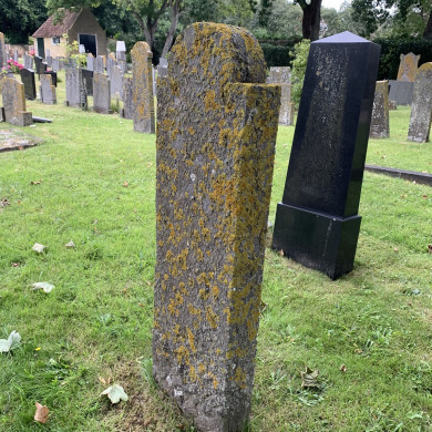 Rijksdienst voor het Cultureel Erfgoed: Bogers, Guido