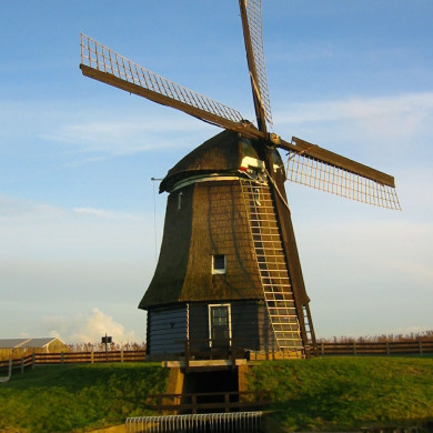 Rijksdienst voor het Cultureel Erfgoed: Terpstra, Frank