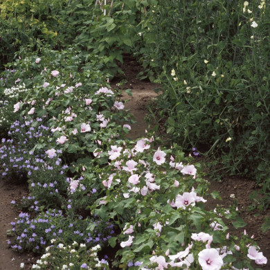 Rijksdienst voor het Cultureel Erfgoed: Heuff M. (Marijke)