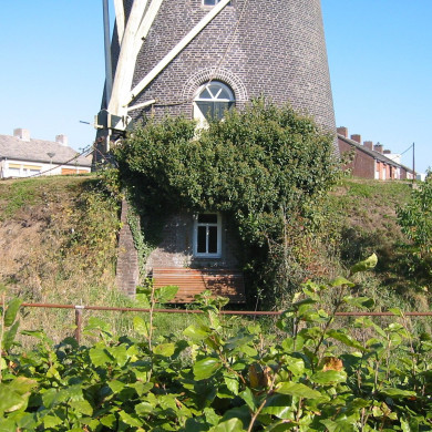 Rijksdienst voor het Cultureel Erfgoed: Terpstra, Frank