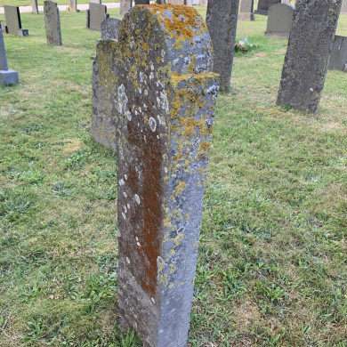 Rijksdienst voor het Cultureel Erfgoed: Bogers, Guido