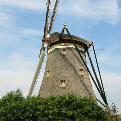 Rijksdienst voor het Cultureel Erfgoed: Terpstra, Frank