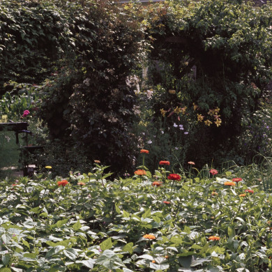 Rijksdienst voor het Cultureel Erfgoed: Heuff M. (Marijke)