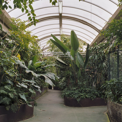 Rijksdienst voor het Cultureel Erfgoed: Wal, A.J. van der