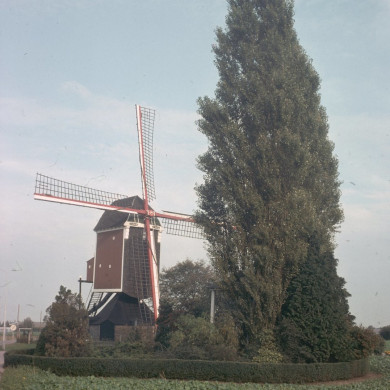 Rijksdienst voor het Cultureel Erfgoed: Tangel, L.M.