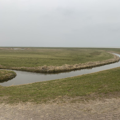 Rijksdienst voor het Cultureel Erfgoed: Bogers, Guido