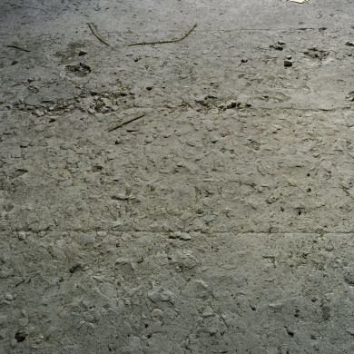 Rijksdienst voor het Cultureel Erfgoed: Roderburg, K. (Kris)