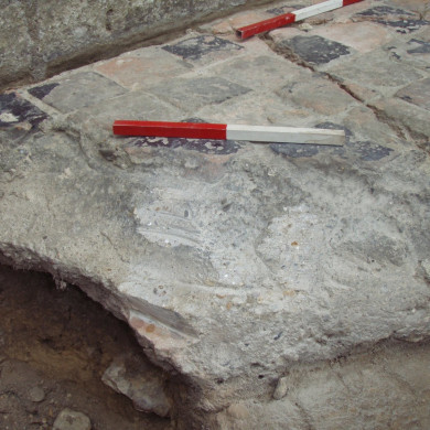 Rijksdienst voor het Cultureel Erfgoed