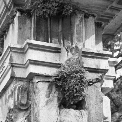 Rijksdienst voor het Cultureel Erfgoed: Tangel, L.M.