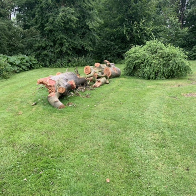 Rijksdienst voor het Cultureel Erfgoed: Bogers, Guido