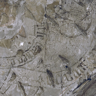 Rijksdienst voor het Cultureel Erfgoed: Tangel, L.M.