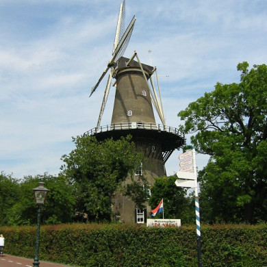 Rijksdienst voor het Cultureel Erfgoed: Terpstra, Frank