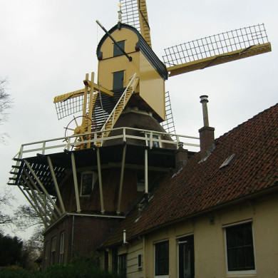 Rijksdienst voor het Cultureel Erfgoed: Terpstra, Frank